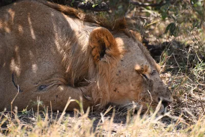 DSC_3546 (Large).JPG